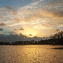 2012-01-06_16-04-48_Henk-Dekker.nl