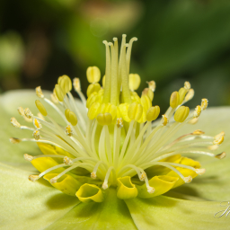 2012-02-25_16-03-52_Copyright_Henk-Dekker.nl_0002