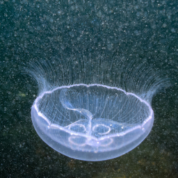 2012-05-04_07-14-51_Henk-Dekker.nl
