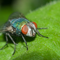 2012-05-27_06-38-10_Henk-Dekker.nl