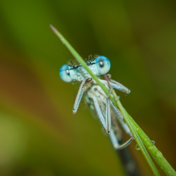 2012-06-01_06-54-08_Henk-Dekker.nl