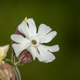 2012-06-10_13-05-03_Henk-Dekker.nl