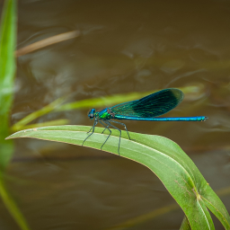 2012-06-10_15-25-14_Henk-Dekker.nl