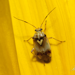 2012-08-06_20-16-58_Copyright_Henk-Dekker.nl_0022