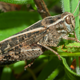 2012-08-06_20-51-28_Copyright_Henk-Dekker.nl_0023
