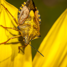 2012-08-17_11-14-45_Henk-Dekker.nl