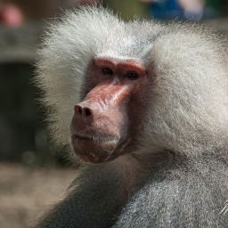 2012-08-29_12-45-37_Copyright_Henk-Dekker.nl_0035