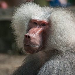 2012-08-29_12-45-37_Henk-Dekker.nl