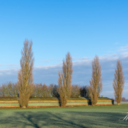 2013-01-12_11-26-09_Copyright_Henk-Dekker.nl_0042