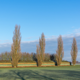 2013-01-12_11-26-09_Henk-Dekker.nl
