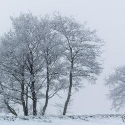 2013-01-25_09-52-03_Copyright_Henk-Dekker.nl_0044
