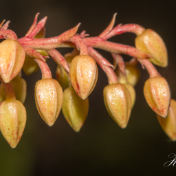 2013-03-15_09-43-04_Copyright_Henk-Dekker.nl_0048