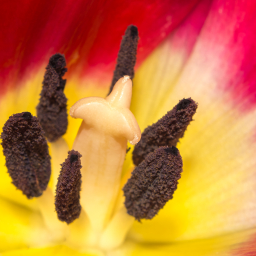 2013-03-24_10-53-09_Henk-Dekker.nl