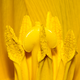 2013-04-01_10-36-21_Henk-Dekker.nl
