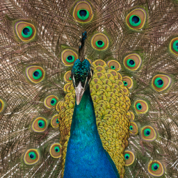 2013-04-19_14-58-16_Copyright_Henk-Dekker.nl_0051