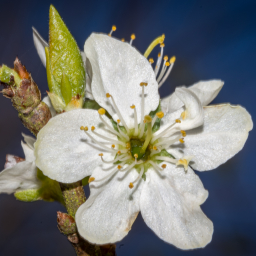 2013-05-01_11-47-38_Henk-Dekker.nl