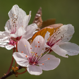 2013-05-01_12-09-48_Henk-Dekker.nl
