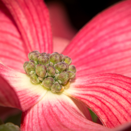 2013-05-12_09-44-52_Henk-Dekker.nl