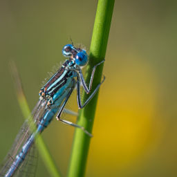 2013-07-06_08-46-30_Henk-Dekker.nl