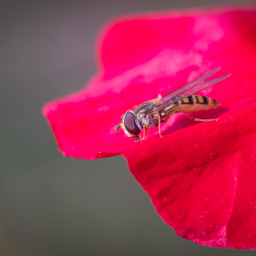 2013-07-09_09-54-58_Henk-Dekker.nl