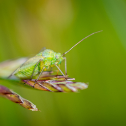 2013-07-09_10-07-37_Henk-Dekker.nl