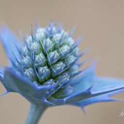 2013-07-25_13-44-08_Copyright_Henk-Dekker.nl_0059