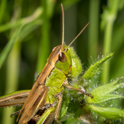 2013-07-26_16-27-50_Henk-Dekker.nl