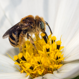 2013-07-26_16-38-32_Henk-Dekker.nl