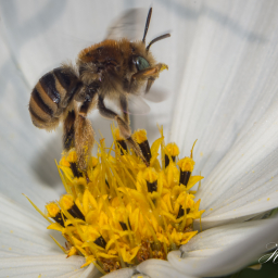 2013-07-26_16-38-33_Copyright_Henk-Dekker.nl_0062