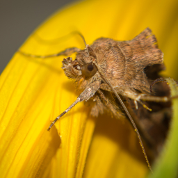2013-07-28_09-52-56_Henk-Dekker.nl