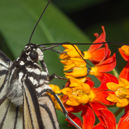 2013-08-08_13-59-48_Copyright_Henk-Dekker.nl_0067