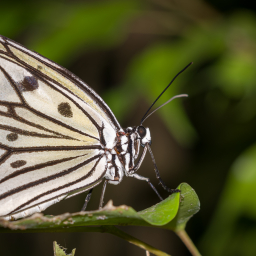 2013-08-08_14-10-15_Henk-Dekker.nl
