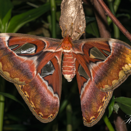 2013-08-08_14-43-44_Copyright_Henk-Dekker.nl_0071