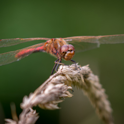 2013-08-22_16-04-01_Henk-Dekker.nl