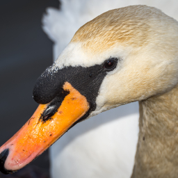 2014-02-14_11-14-23_Henk-Dekker.nl