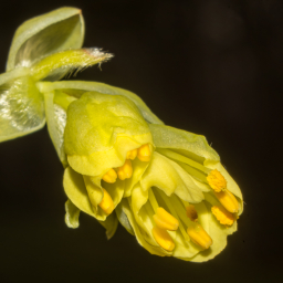 2014-03-07_13-14-17_Henk-Dekker.nl