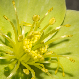 2014-03-07_13-29-09_Henk-Dekker.nl