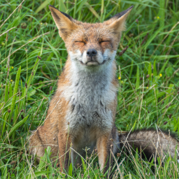 2014-08-23_14-23-24_Henk-Dekker.nl