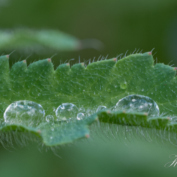 2016-05-14_15-35-41_Copyright_Henk-Dekker.nl_0202