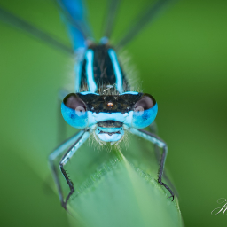 2016-05-16_11-16-42_Copyright_Henk-Dekker.nl_0204