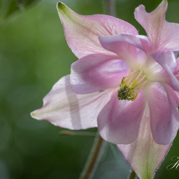 2016-05-16_11-44-23_Copyright_Henk-Dekker.nl_0207