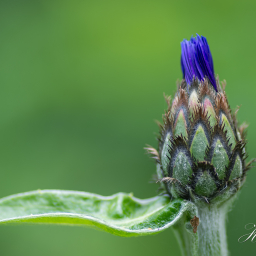2016-05-16_11-48-01_Copyright_Henk-Dekker.nl_0208