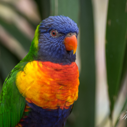 2016-07-29_12-52-09_Copyright_Henk-Dekker.nl_0218
