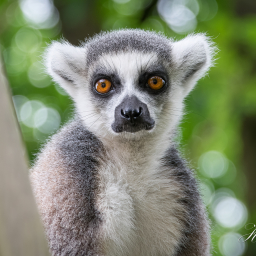 2016-08-02_15-15-06_Copyright_Henk-Dekker.nl_0222