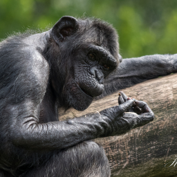 2016-08-15_12-57-47_Copyright_Henk-Dekker.nl_0246
