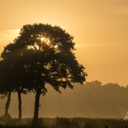 2016-09-09_07-29-44_Copyright_Henk-Dekker.nl_0260
