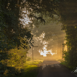 2016-09-09_07-33-07_Copyright_Henk-Dekker.nl_0261