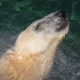 2016-09-18_12-00-04_Copyright_Henk-Dekker.nl_0264