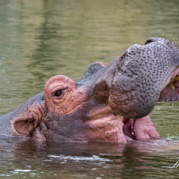 2016-09-18_12-38-18_Copyright_Henk-Dekker.nl_0266
