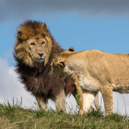 2016-09-18_12-53-42_Copyright_Henk-Dekker.nl_0267